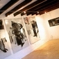 Exposición Sa Taronja, Gran Galeria
