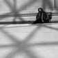 Web of light