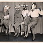 animal dance
