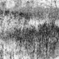 scratch surface