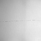 "Bird I"