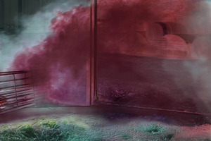 Eleanor Cunningham
