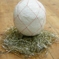 Curate's Egg