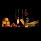 Still life with parrot, 2009