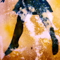 Amelia with sunset, sand and shells.(detail)