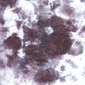 Drawing SK1491