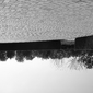 Composition SK 747