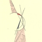 -CompositionNumber 1202SK-