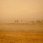 Bon baiser de Villers s/ Mer 49.323815, - 0.00533 — 07.06.10 / 15:45