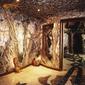 Exotic Tree mural