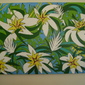 Flora 2