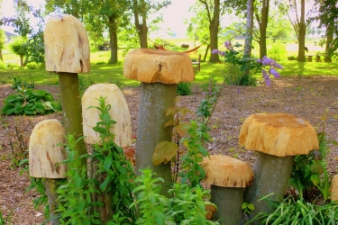 Collection Mushrooms; created by Maxci Moerincx