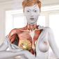 Human Dress