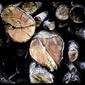 Wood's death