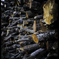 Wood's death II