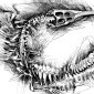 Steneosaurus bollensis