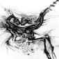 Compsognathus longipes