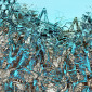 Deep Complexity V