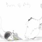 horn of plenty