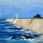 Pigeon Point 