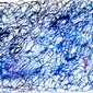 Blue Twitter