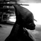 One day I will strike birds from the sky (CU)