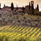 Monte Oliveto, Tuscany