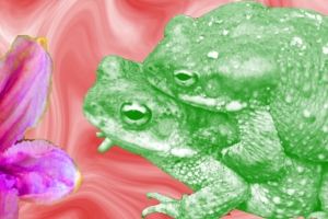 Vikalp Evolving