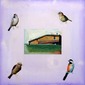 House and birds