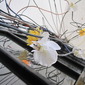 flower technol