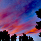 Ciel Vivant