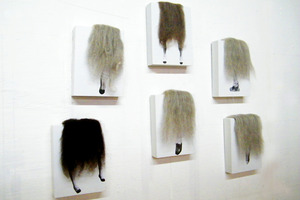 Herd Patricia Schnall Gutierrez