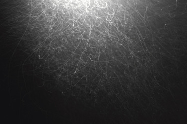 Collection Inverted Nature (2010); created by Craig Madden