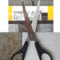 The transtemporality of physical objects (002)