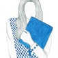 Blue Book