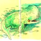 Whale