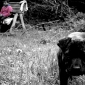 Spot Colour - 06G-Dog Day Afternoon