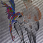 Parrot