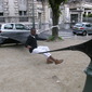 Photographie Street Art - Cedric Bernadotte