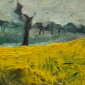 Yellow Fields