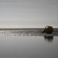 100627 19:21