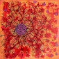 Meditations Series