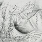 Embroidery 2