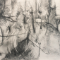 Landscape 7 - Aerial Mapping + Plan View