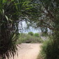 Beach Path
