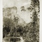 Tropical Garden