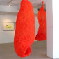 Proliferación 02