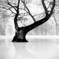 Reflection