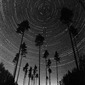 Dome
