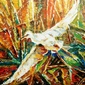 Peace Finder